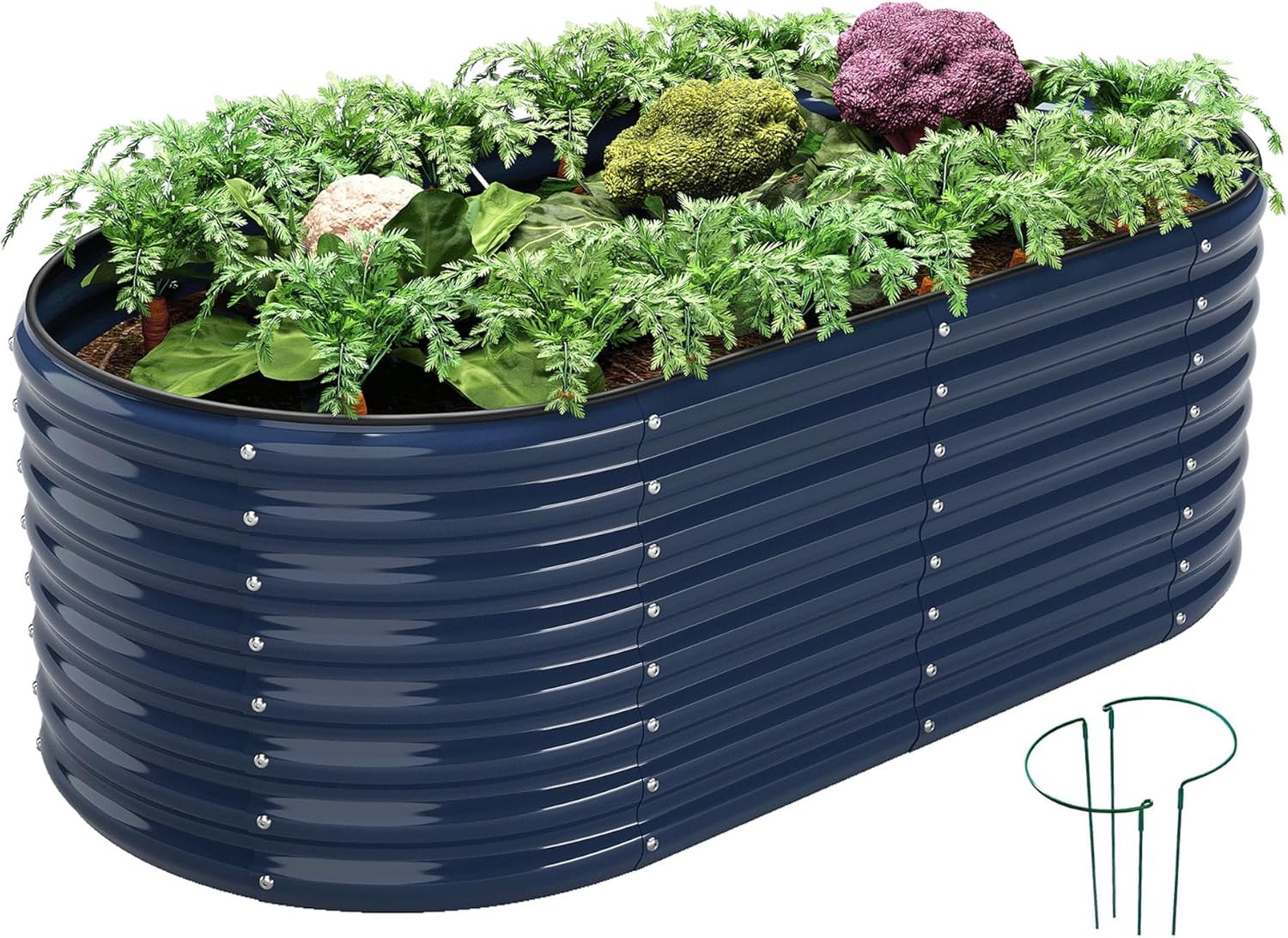 Raised Garden Beds